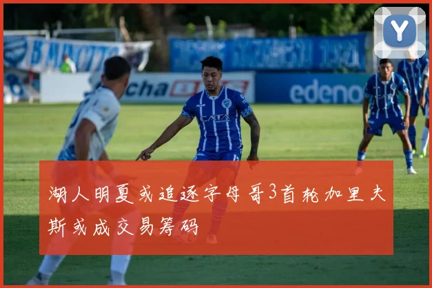 湖人明夏或追逐字母哥3首轮加里夫斯或成交易筹码