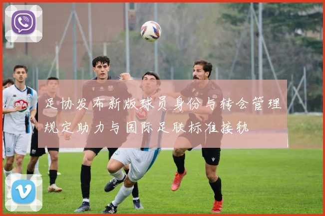 足协发布新版球员身份与转会管理规定助力与国际足联标准接轨