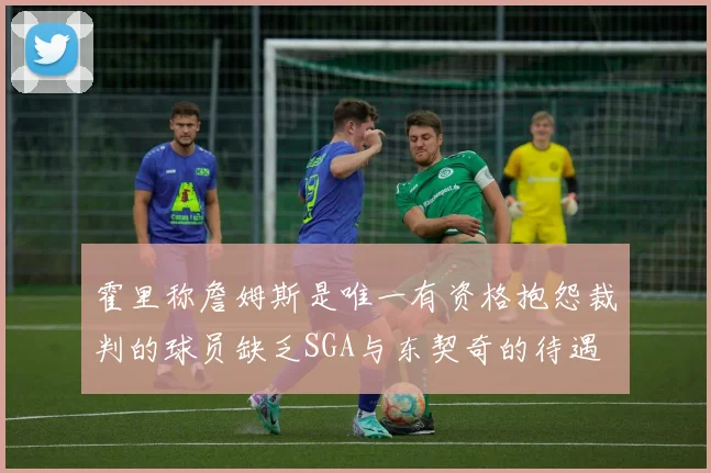 霍里称詹姆斯是唯一有资格抱怨裁判的球员缺乏SGA与东契奇的待遇