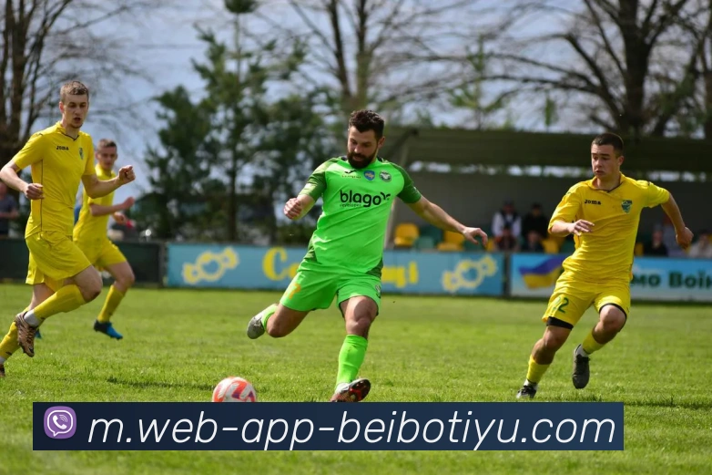 贝博体育APP 封面图